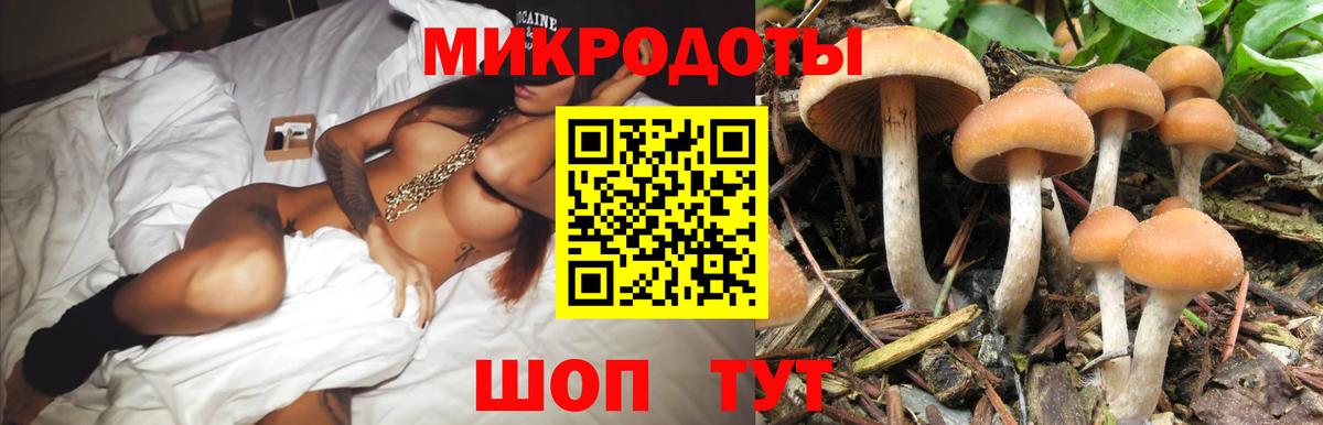 Галлюциногенные грибы мицелий  Вход с VPN  Евпатория 